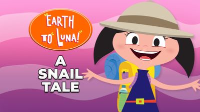 A Snail Tale