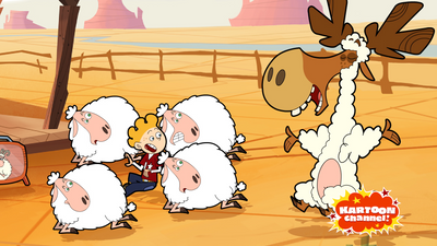 Sheep