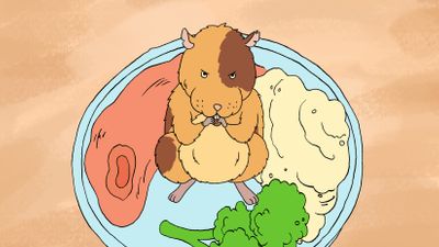 Horrid Henry's Horrid Hamster