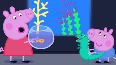 The Aquarium