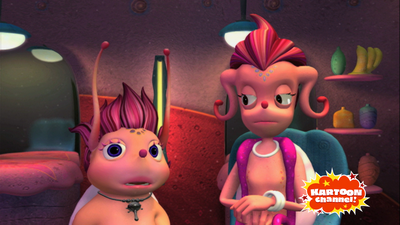 Meet the Cowries