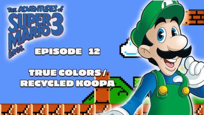 True Colors / Recycled Koopa
