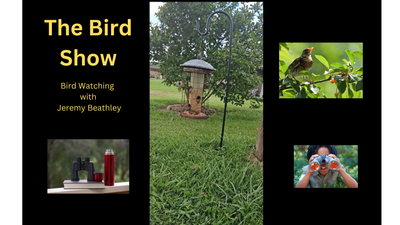 The Bird Show Ep2