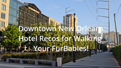 New Orleans Downtown Hotel Recos for Walking Your FurBabies