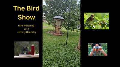 The Bird Show