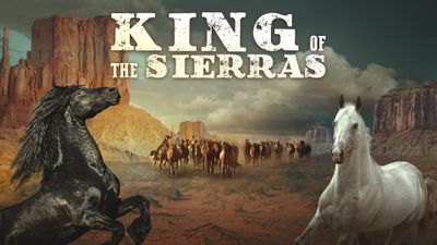 King of the Sierras (aka Black Stallion)