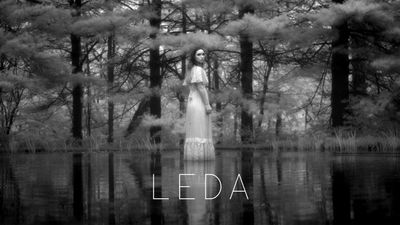 Leda
