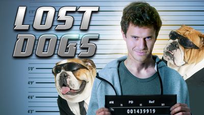 Lost Dogs