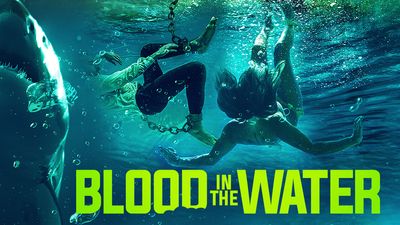 Blood In The Water