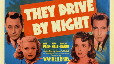 They Drive by Night