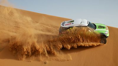 Wild across the desert