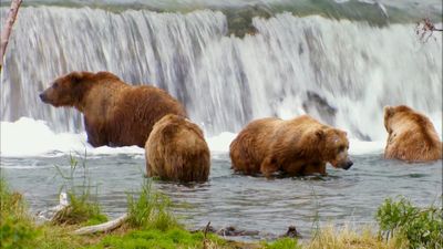 Katmai (1980)