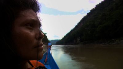 From Ithaca to the Amazon