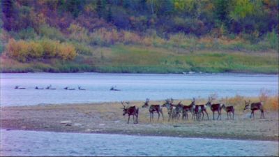 Kobuk Valley (1980)