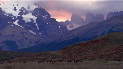 Chile - In a Gentle and Savage Land