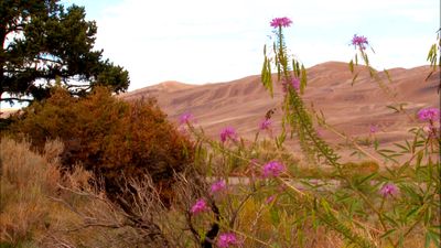 Great Sand Dunes (2004)