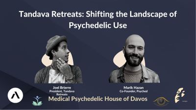 Tandava Retreats: Shifting the Landscape of Psychedelic Use with with Joel Brierre