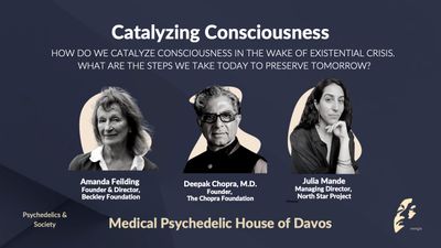 Catalyzing Consciousness 