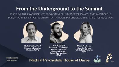 From the Underground to the Summit with Rick Doblin