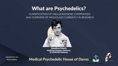 What are Psychedelics? 
