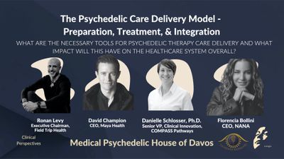 The Psychedelic Care Delivery Model - Preparation, Treatment, and Integration
