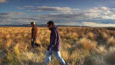 New Zealand - Risks & Rewards
