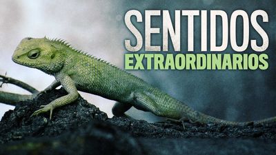 Episodio 01