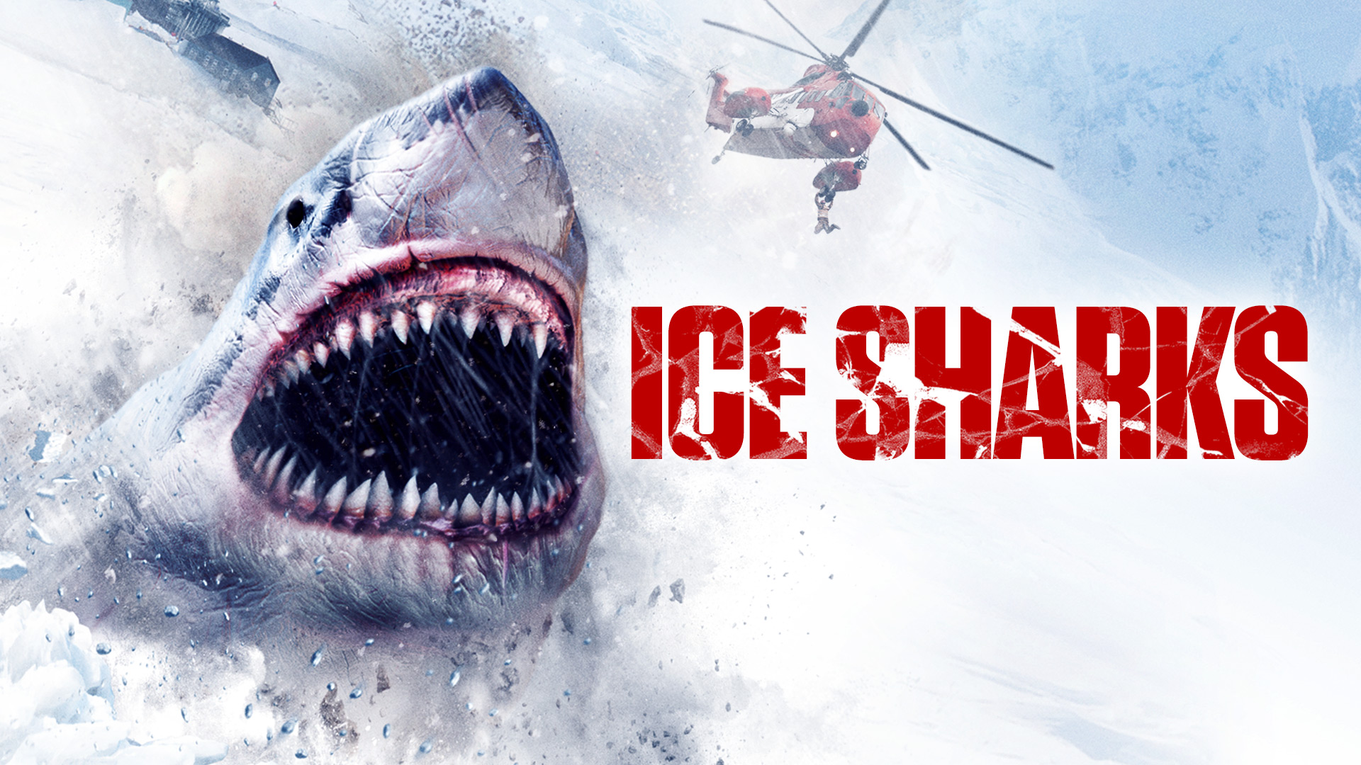 Ice Sharks | Get.Factual