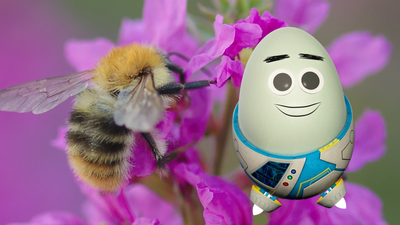Bee Rap