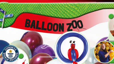 How To Make A Balloon Parrot