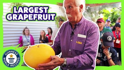 Heaviest Grapefruit