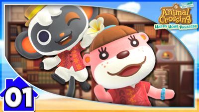 Joining the Paradise Planning Team With Lottie!