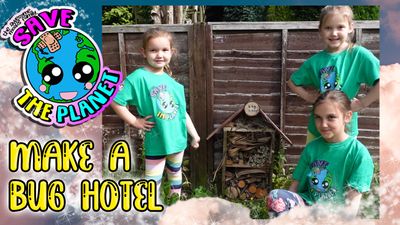 Make a Bug Hotel