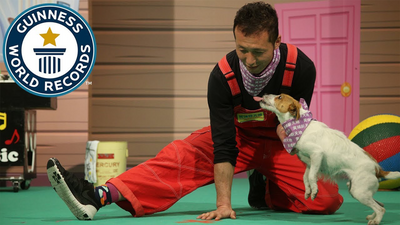 Most jumps over a moving human leg by a dog in thirty seconds