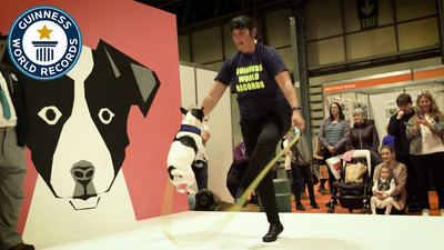 Most skips by a dog and person in one minute - single rope