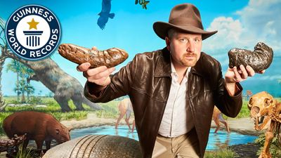 Largest collection of coprolite