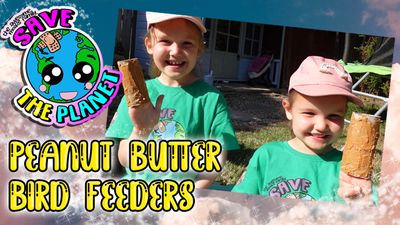 Peanut Butter Bird Feeders