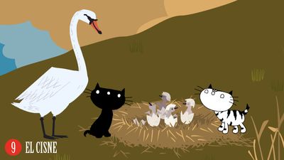 El cisne