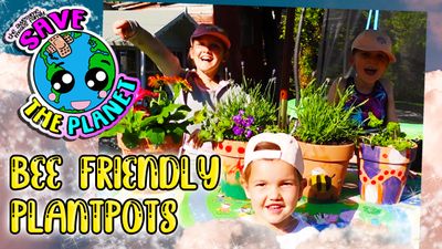 Bee Friendly Plant Pots