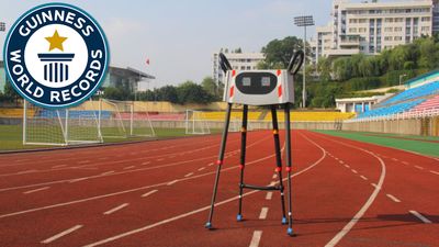 Amazing Robot Goes The distance