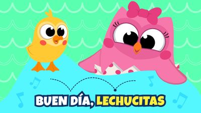 Buen día, Lechucitas