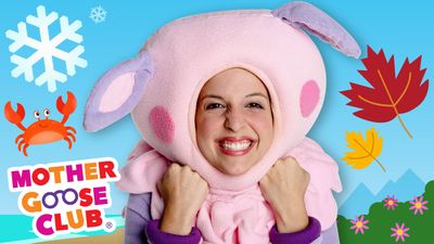 Winter Spring Summer and Fall