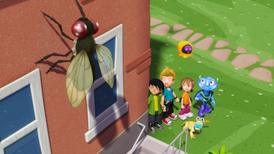 Super Fly – How do Flies eat?