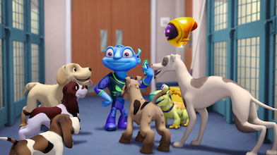 Dog Day afternoon – Why are there so many different types of dogs?