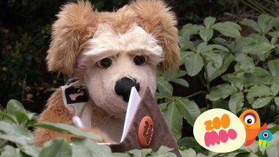 R is for Rhinoceros Beetle