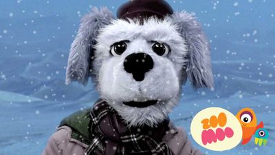 B is for Bactrian Camel