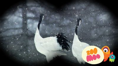 J is for Japanese Crane