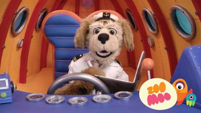 R is for Right Whale