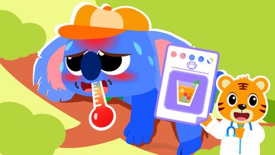 Let’s Save the Koala