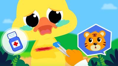 Let’s Save the Duck